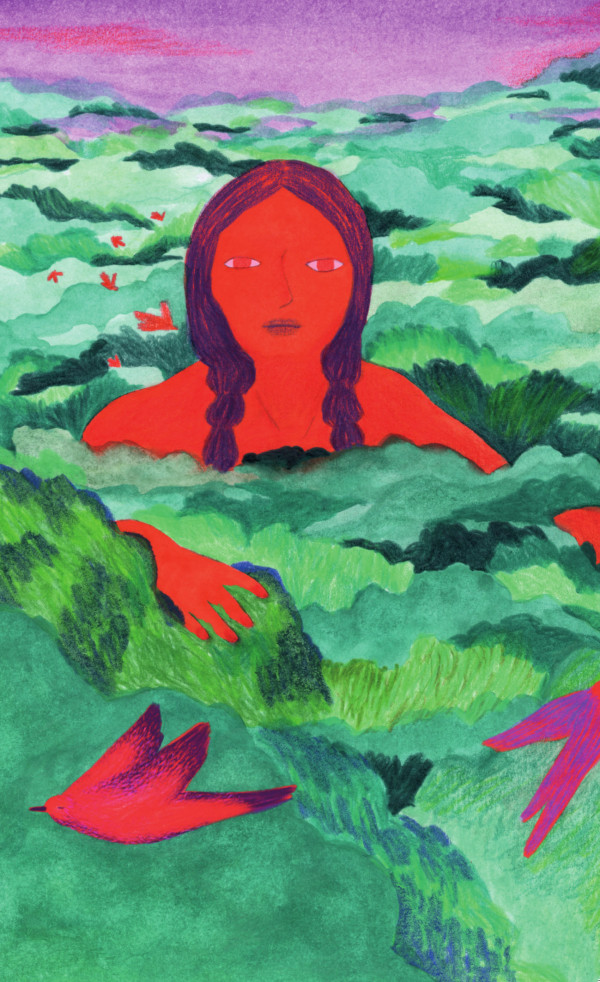 illustrationcouvertureHelier